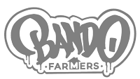 Partner